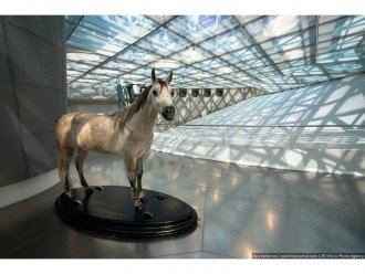 Історія.  Штутгарт - батьківщина автомобіля