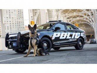 Американські копи пересядуть на гібридні Ford Mondeo