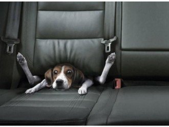 Кращі рекламні промо-ролики 2017 року