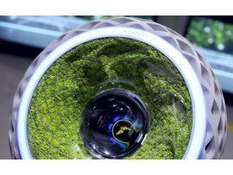 Шина Goodyear заповнена мохом і виробляє кисень