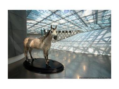 Історія.  Штутгарт - батьківщина автомобіля