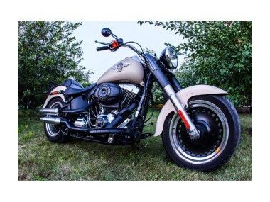 Новий Harley-Davidson Fat Boy Special 2014