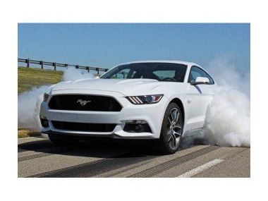 Дівчина з ролика - професійний каскадер