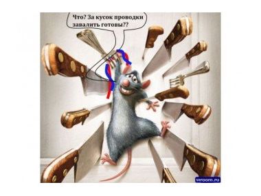 Як позбутися гризунів в автомобілі