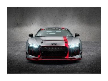 Відділення Audi Sport підготувало купе R8 LMS GT4