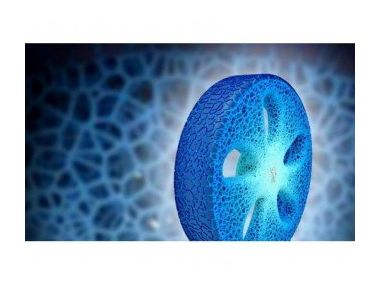 Довговічна автомобільна шина Michelin Visionary Concept