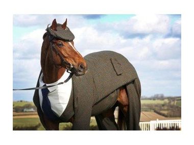 Предпродажна підготовка авто - поради експерта