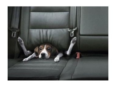 Кращі рекламні промо-ролики 2017 року