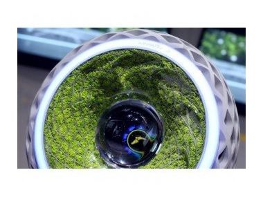 Шина Goodyear заповнена мохом і виробляє кисень